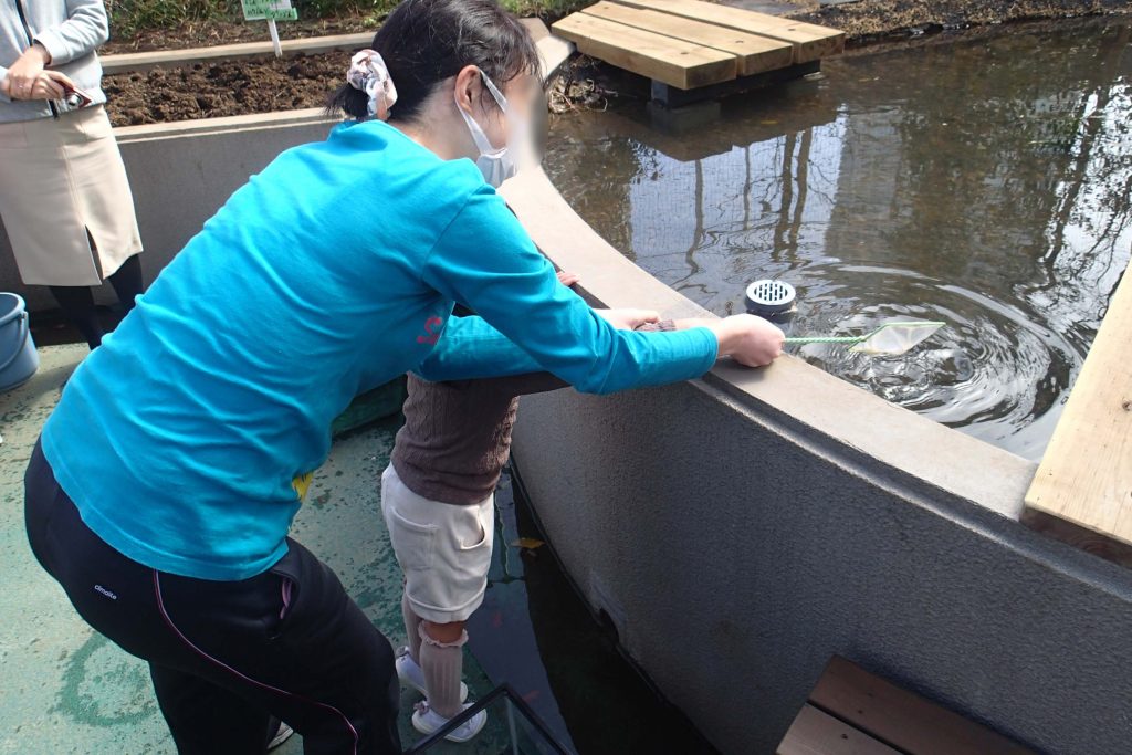 生き物放流