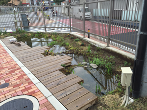 ビオトープ全景