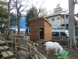 ヤギ小屋