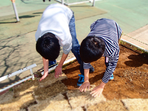 芝張り